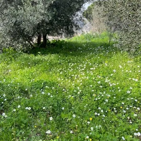 Διαμέρισμα Kareshome-privacy-view