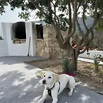 Kareshome-privacy-view * Panormos (Kalymnos)