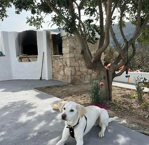 Kareshome-privacy-view * Panormos (Kalymnos)