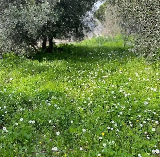 Appartement Kareshome-privacy-view