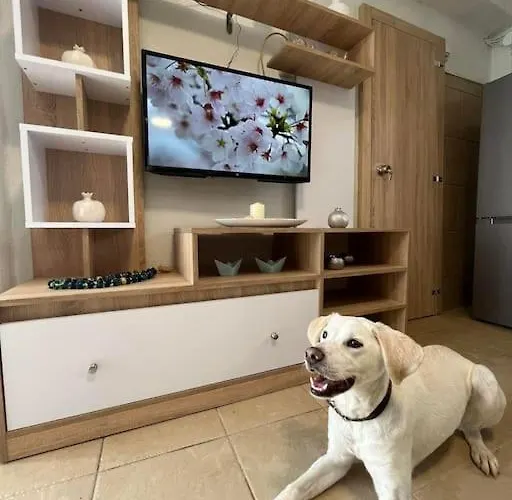 Kareshome-privacy-view Appartement *